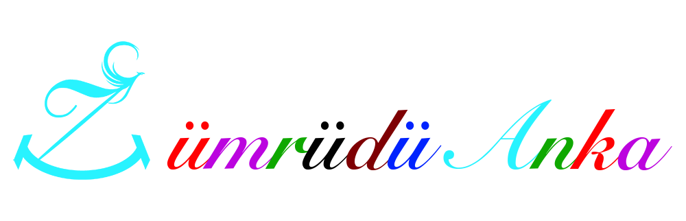 Özel Zümrüdü Anka Anaokulu 