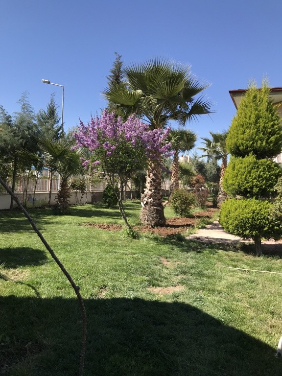 Latife Hanım Anaokulu