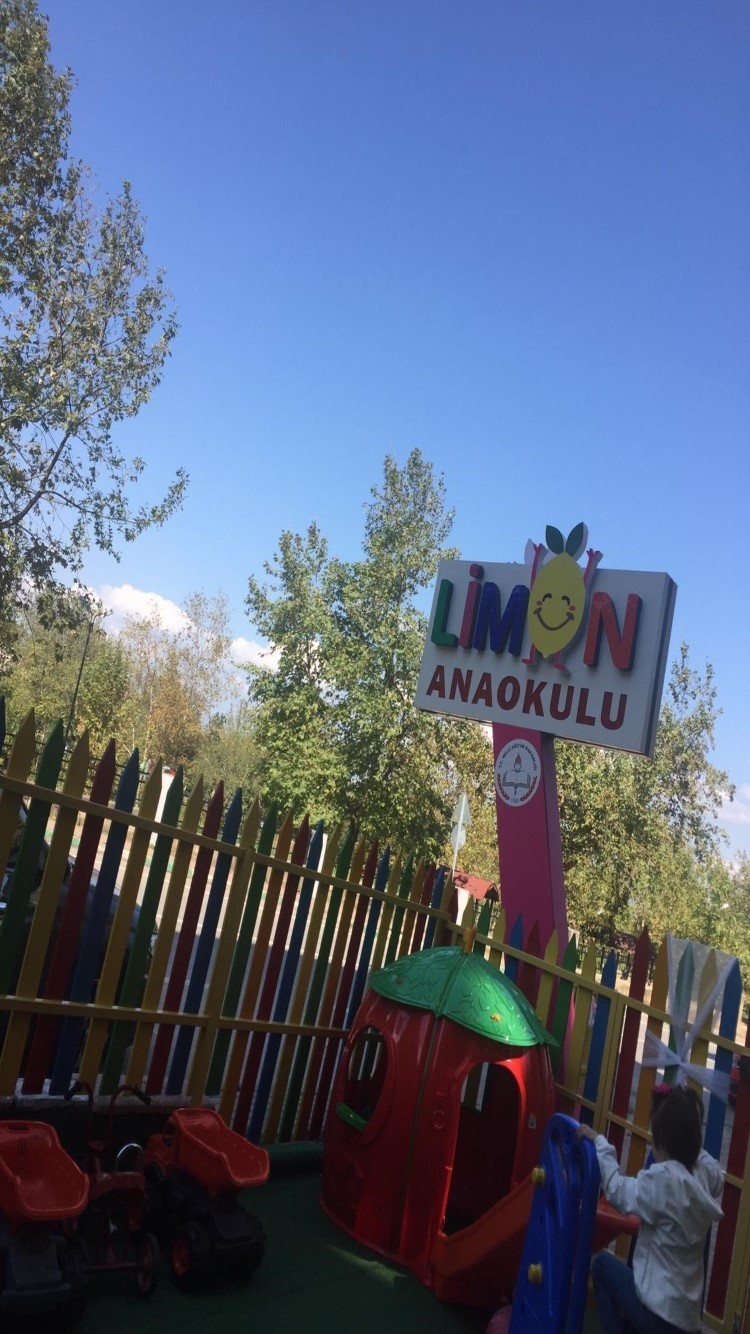 Özel Limon Anaokulu