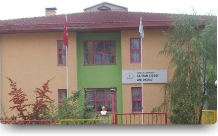 Safran Çiçeği Anaokulu